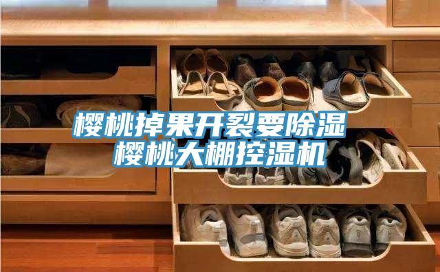 櫻桃掉果開(kāi)裂要除濕 櫻桃大棚控濕機