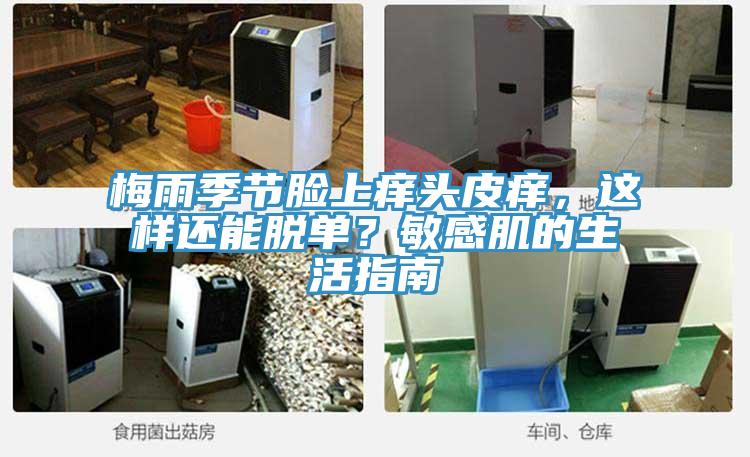 梅雨季節臉上癢頭皮癢，這樣還能脫單？敏感肌的生活指南