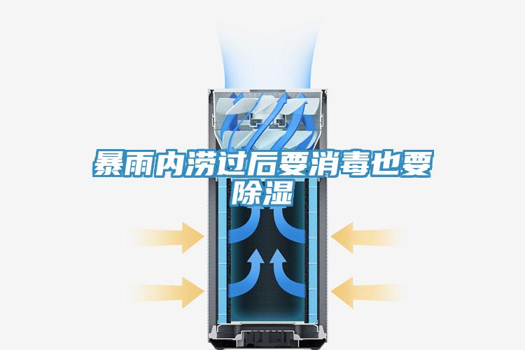 暴雨內澇過(guò)后要消毒也要除濕