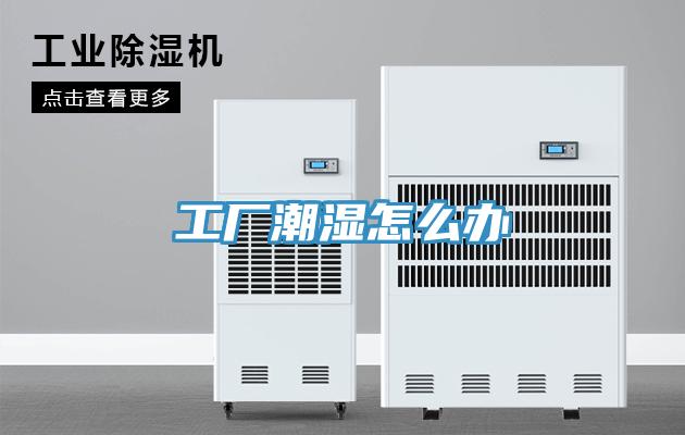 工廠(chǎng)潮濕怎么辦