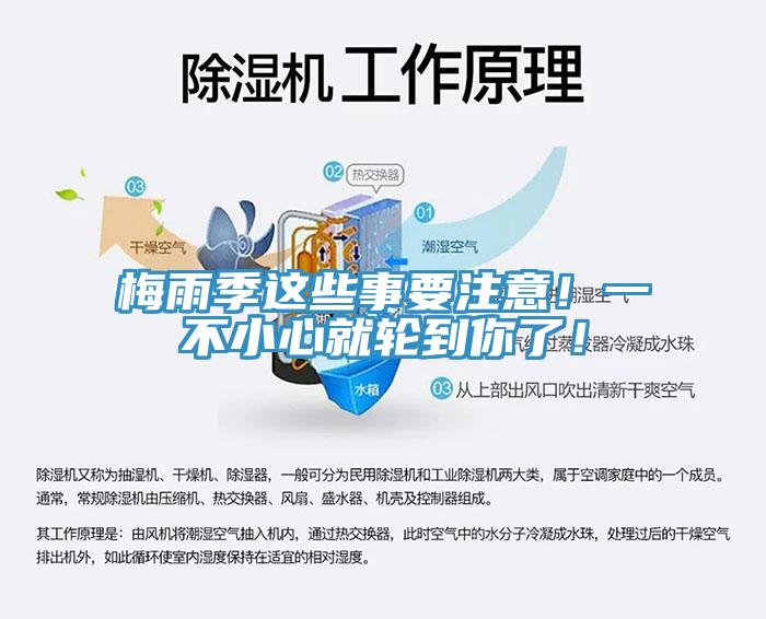 梅雨季這些事要注意！一不小心就輪到你了！