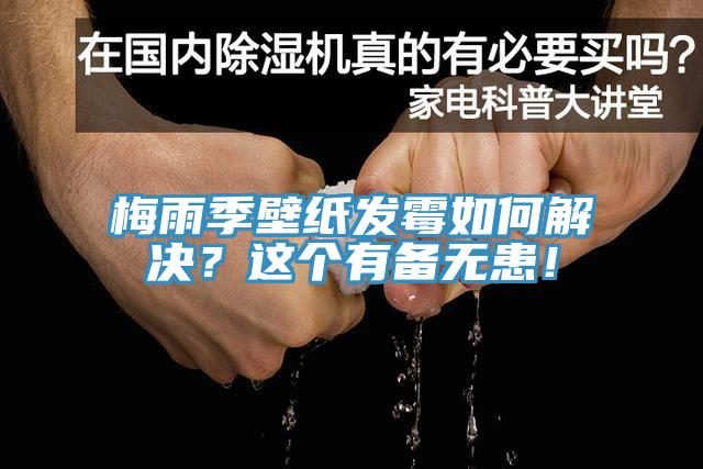梅雨季壁紙發(fā)霉如何解決？這個(gè)有備無(wú)患！