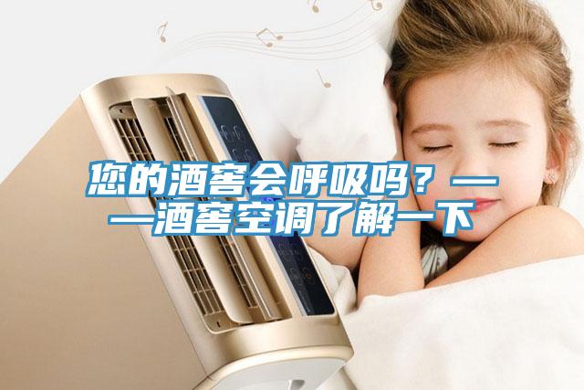 您的酒窖會(huì )呼吸嗎？——酒窖空調了解一下