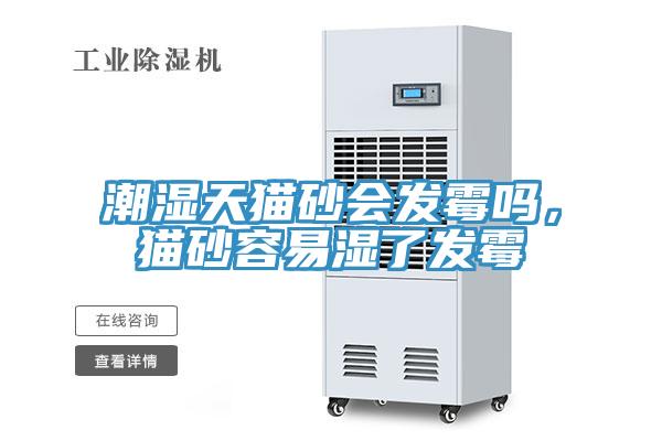 潮濕天貓砂會(huì )發(fā)霉嗎，貓砂容易濕了發(fā)霉