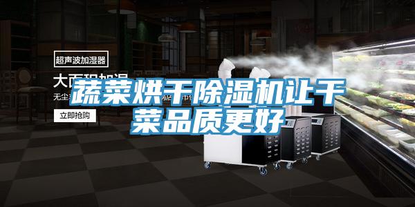 蔬菜烘干除濕機讓干菜品質(zhì)更好