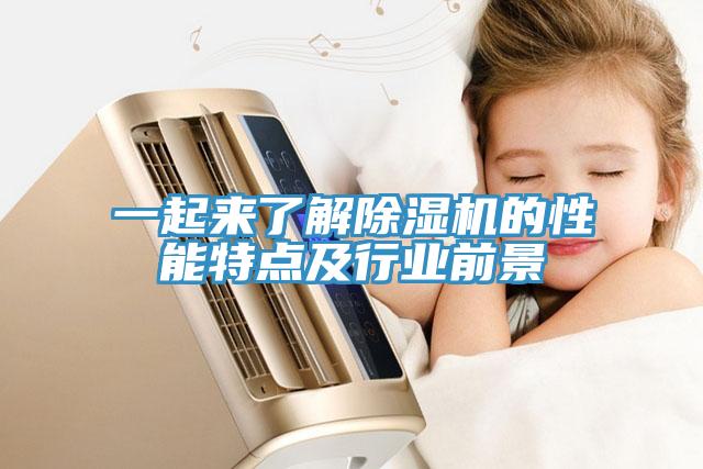 一起來(lái)了解除濕機的性能特點(diǎn)及行業(yè)前景