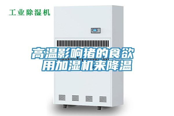 高溫影響豬的食欲 用加濕機來(lái)降溫