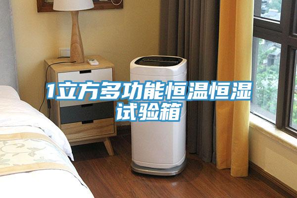 1立方多功能恒溫恒濕試驗箱