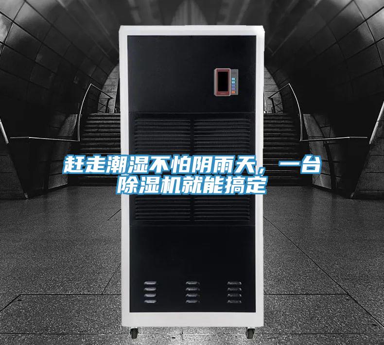 趕走潮濕不怕陰雨天，一臺除濕機就能搞定