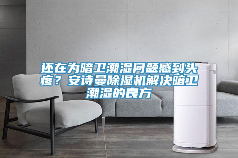 還在為暗衛潮濕問(wèn)題感到頭疼？安詩(shī)曼除濕機解決暗衛潮濕的良方