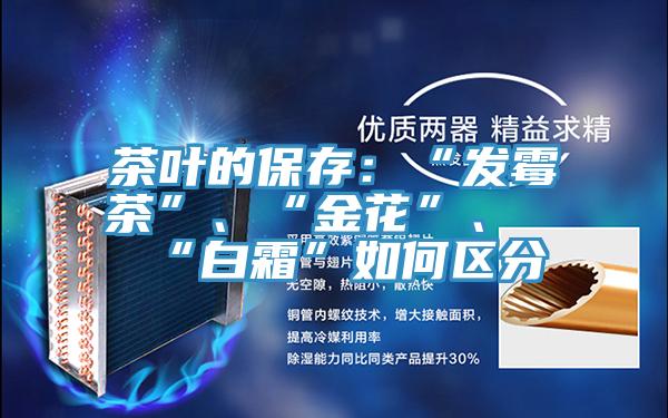 茶葉的保存：“發(fā)霉茶”、“金花”、“白霜”如何區分
