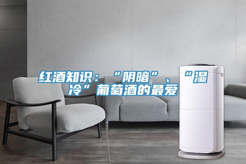 紅酒知識：“陰暗”、“濕冷”葡萄酒的最?lèi)?ài)