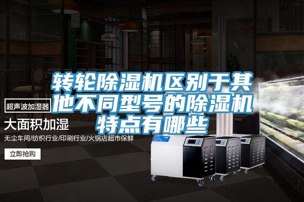 轉輪除濕機區別于其他不同型號的除濕機特點(diǎn)有哪些