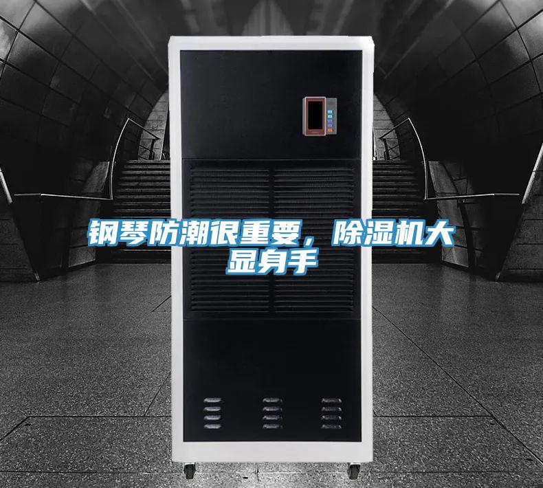 鋼琴防潮很重要，除濕機大顯身手