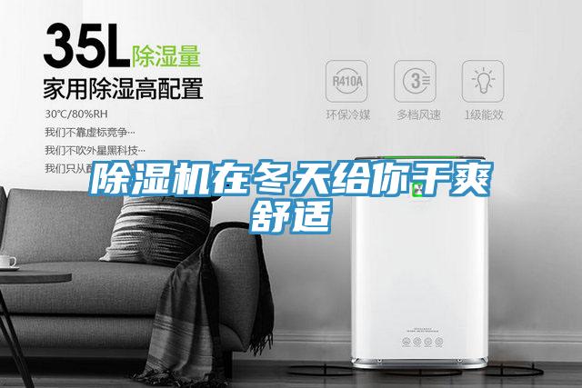 除濕機在冬天給你干爽舒適