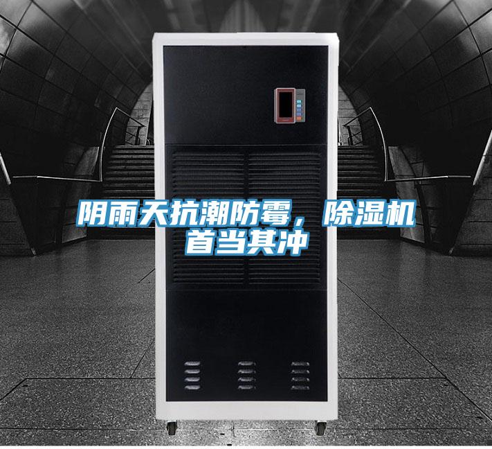 陰雨天抗潮防霉，除濕機首當其沖