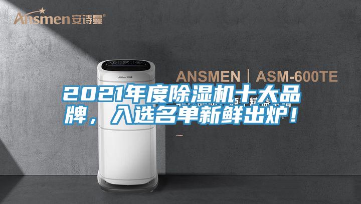 2021年度除濕機十大品牌，入選名單新鮮出爐！