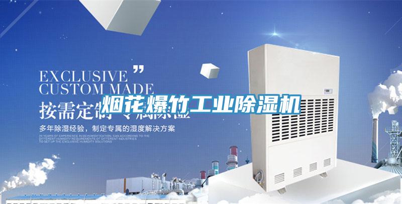 煙花爆竹工業(yè)除濕機