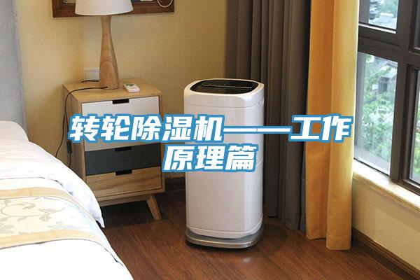 轉輪除濕機——工作原理篇