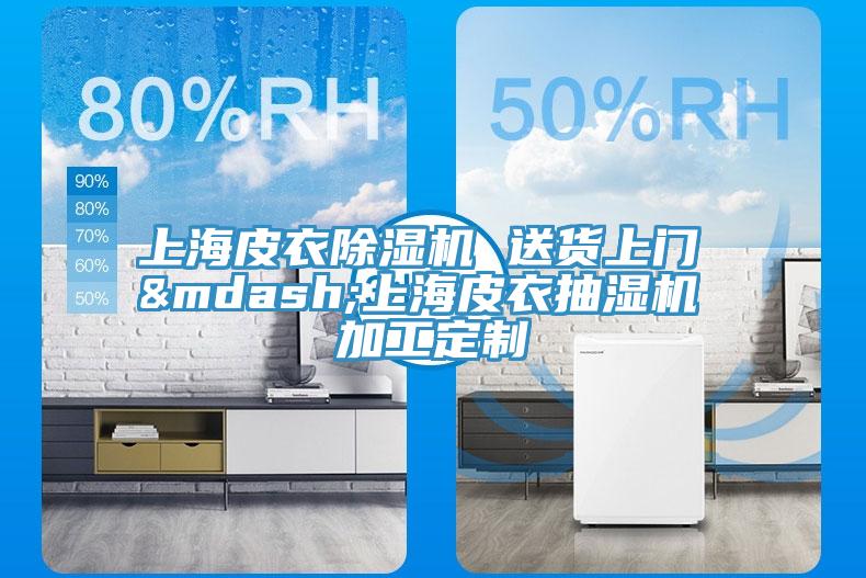 上海皮衣除濕機 送貨上門(mén) —上海皮衣抽濕機 加工定制