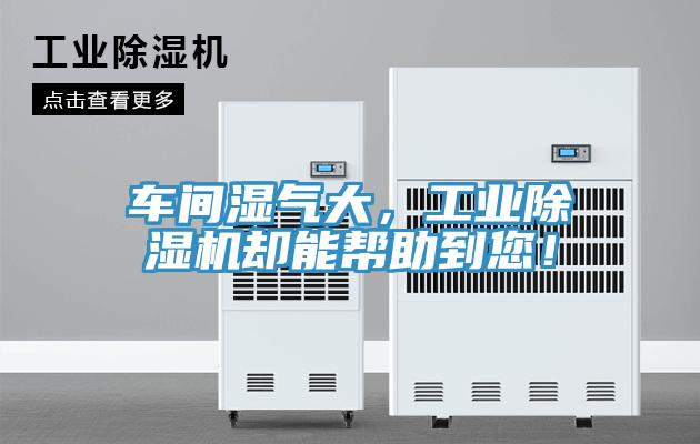 車(chē)間濕氣大，工業(yè)除濕機卻能幫助到您！