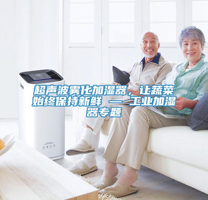 超聲波霧化加濕器，讓蔬菜始終保持新鮮 — 工業(yè)加濕器專(zhuān)題