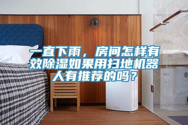 一直下雨，房間怎樣有效除濕如果用掃地機器人有推薦的嗎？