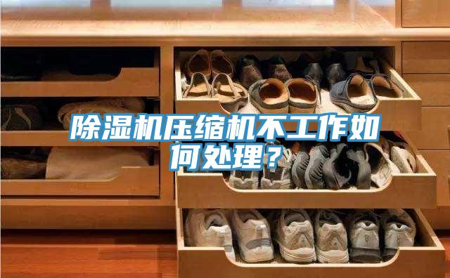 除濕機壓縮機不工作如何處理？