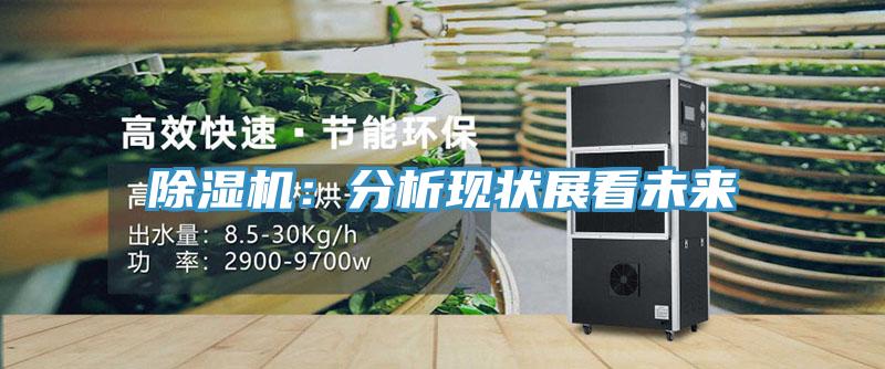 除濕機：分析現狀展看未來(lái)