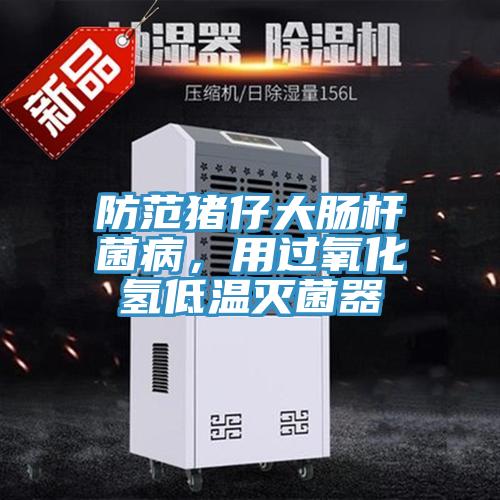 防范豬仔大腸桿菌病，用過(guò)氧化氫低溫滅菌器