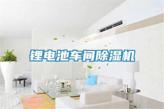 鋰電池車(chē)間除濕機