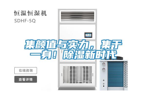 集顏值與實(shí)力，集于一身！除濕新時(shí)代