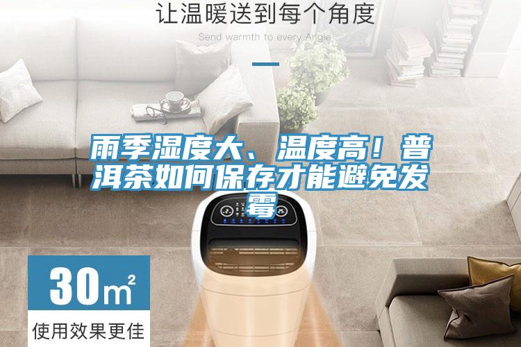 雨季濕度大、溫度高！普洱茶如何保存才能避免發(fā)霉