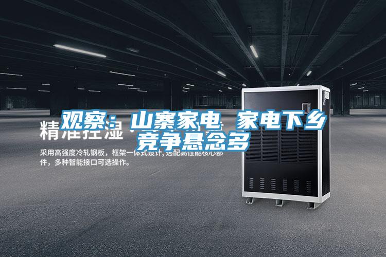 觀(guān)察：山寨家電 家電下鄉競爭懸念多