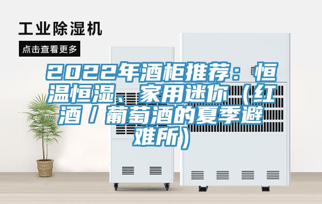 2022年酒柜推薦：恒溫恒濕、家用迷你（紅酒／葡萄酒的夏季避難所）