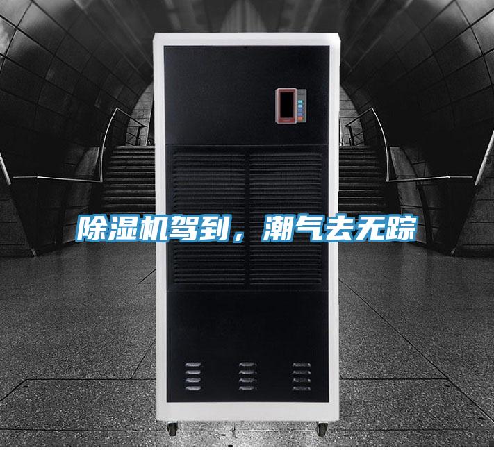 除濕機駕到，潮氣去無(wú)蹤