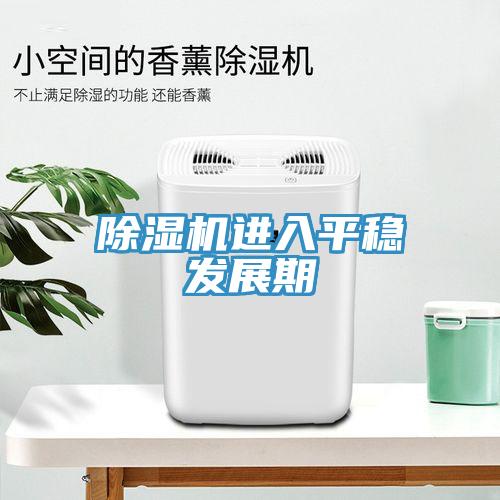 除濕機進(jìn)入平穩發(fā)展期