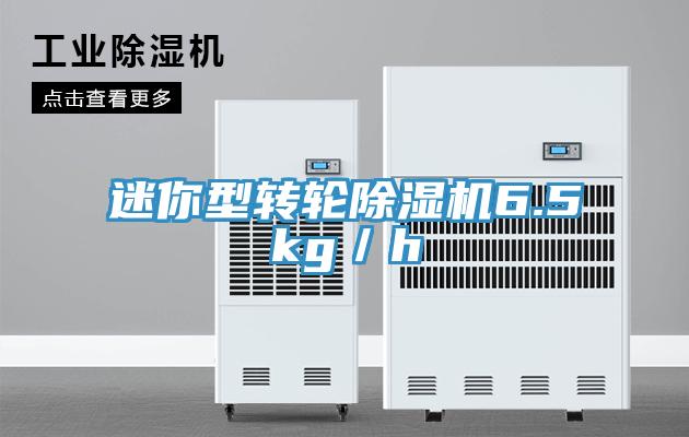 迷你型轉輪除濕機6.5kg／h