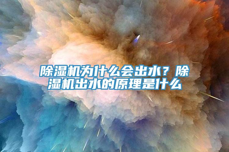 除濕機為什么會(huì )出水？除濕機出水的原理是什么