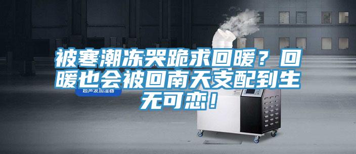 被寒潮凍哭跪求回暖？回暖也會(huì )被回南天支配到生無(wú)可戀！