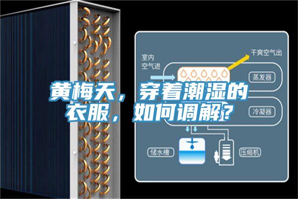 黃梅天，穿著(zhù)潮濕的衣服，如何調解？