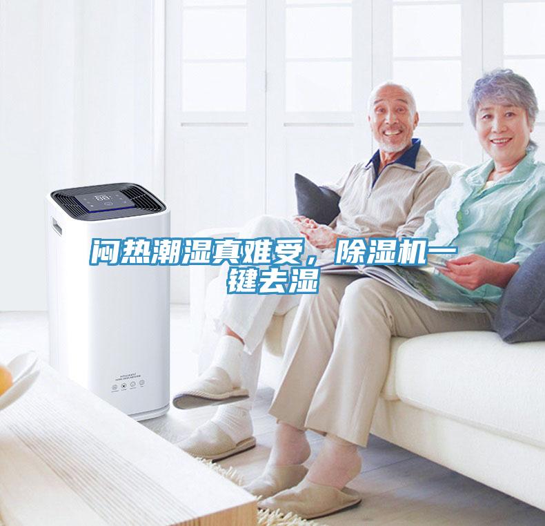 悶熱潮濕真難受，除濕機一鍵去濕