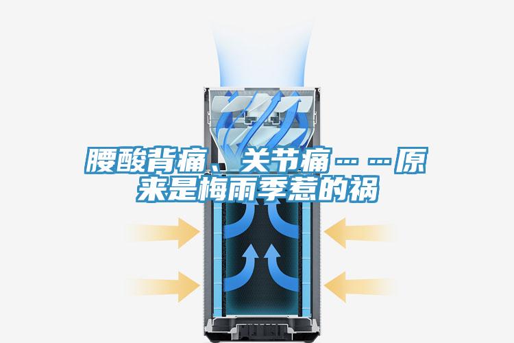 腰酸背痛、關(guān)節痛……原來(lái)是梅雨季惹的禍