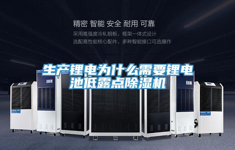 生產(chǎn)鋰電為什么需要鋰電池低露點(diǎn)除濕機