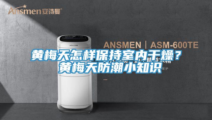 黃梅天怎樣保持室內干燥？ 黃梅天防潮小知識