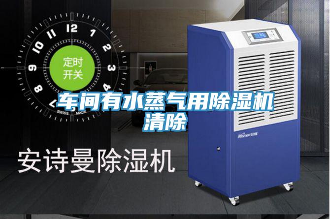 車(chē)間有水蒸氣用除濕機清除