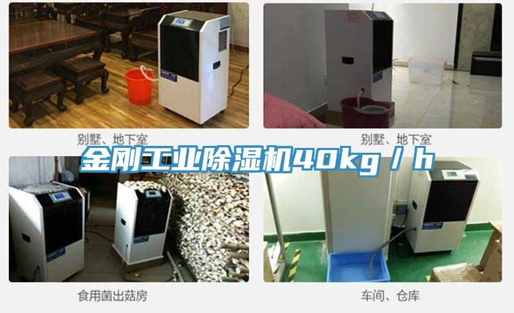 金剛工業(yè)除濕機40kg／h