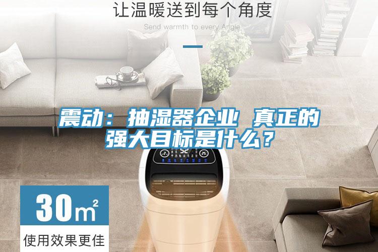 震動(dòng)：抽濕器企業(yè) 真正的強大目標是什么？