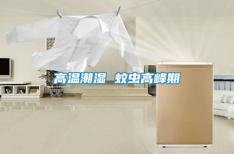 高溫潮濕 蚊蟲(chóng)高峰期