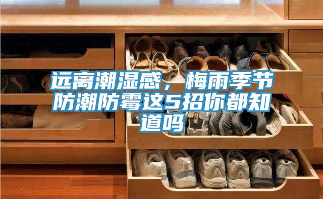 遠離潮濕感，梅雨季節防潮防霉這5招你都知道嗎